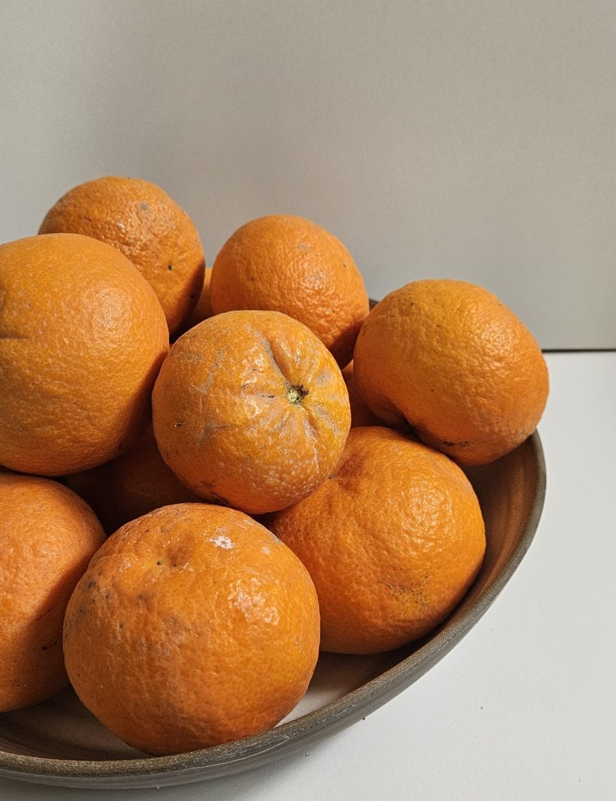 קערה גדולה בורוד