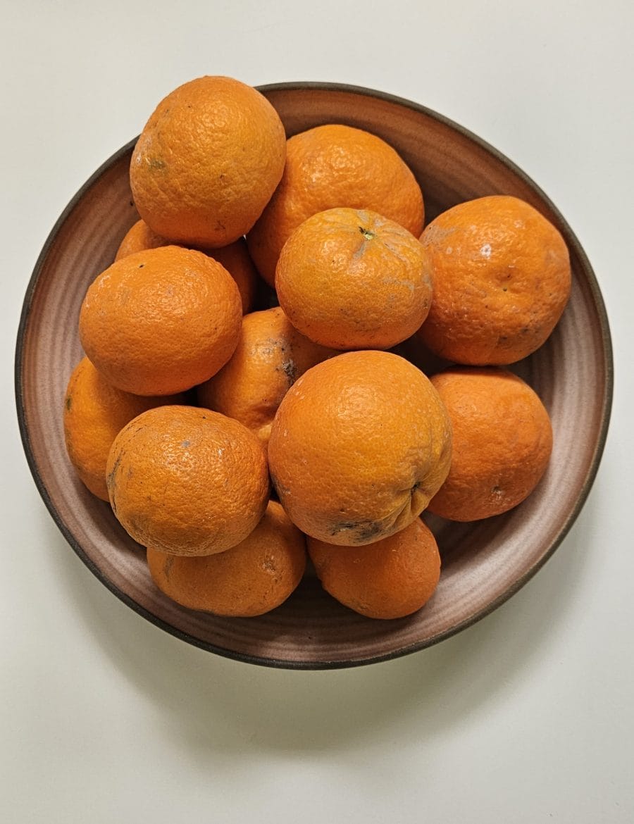 קערה גדולה בורוד